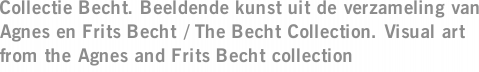 Collectie Becht. Beeldende kunst uit de verzameling van Agnes en Frits Becht / The Becht Collection. Visual art from the Agnes and Frits Becht collection