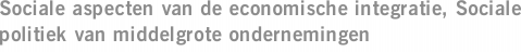 Sociale aspecten van de economische integratie, Sociale politiek van middelgrote ondernemingen