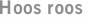 Hoos roos