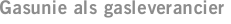 Gasunie als gasleverancier