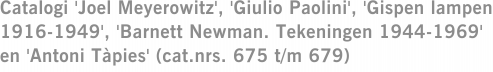 Catalogi 'Joel Meyerowitz', 'Giulio Paolini', 'Gispen lampen 1916-1949', 'Barnett Newman. Tekeningen 1944-1969' en 'Antoni Tàpies' (cat.nrs. 675 t/m 679)