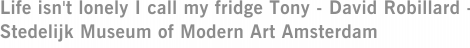 Life isn't lonely I call my fridge Tony - David Robillard - Stedelijk Museum of Modern Art Amsterdam